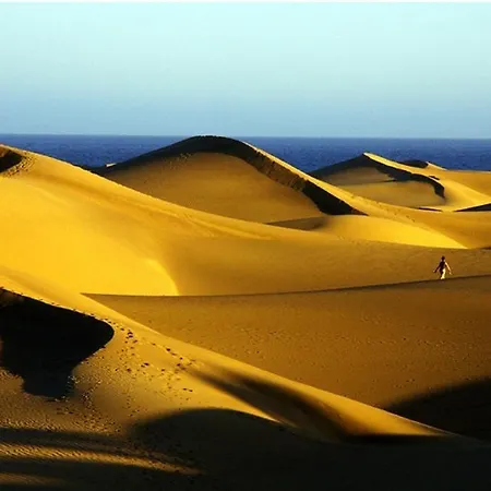 Appartamento Acogedor Octavo Hábitat Maspalomas (Gran Canaria)